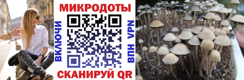 кракен сайт Михайловск Галлюциногенные грибы Magic Shrooms